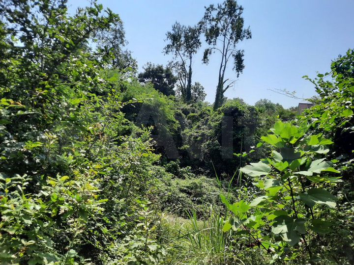 Участок 6 сот. (ИЖС)