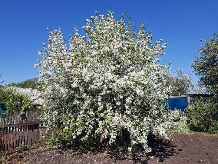 Участок 8,3 сот. (ИЖС)