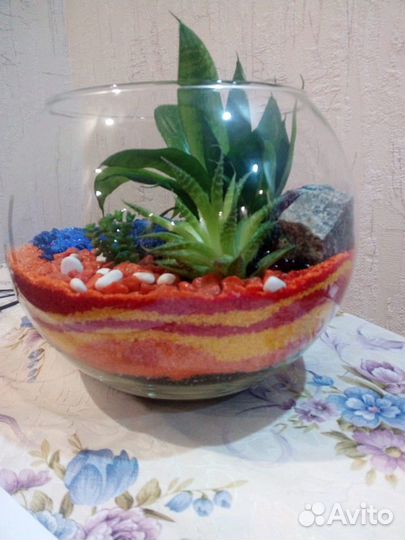 Флорариум из суккулентов
