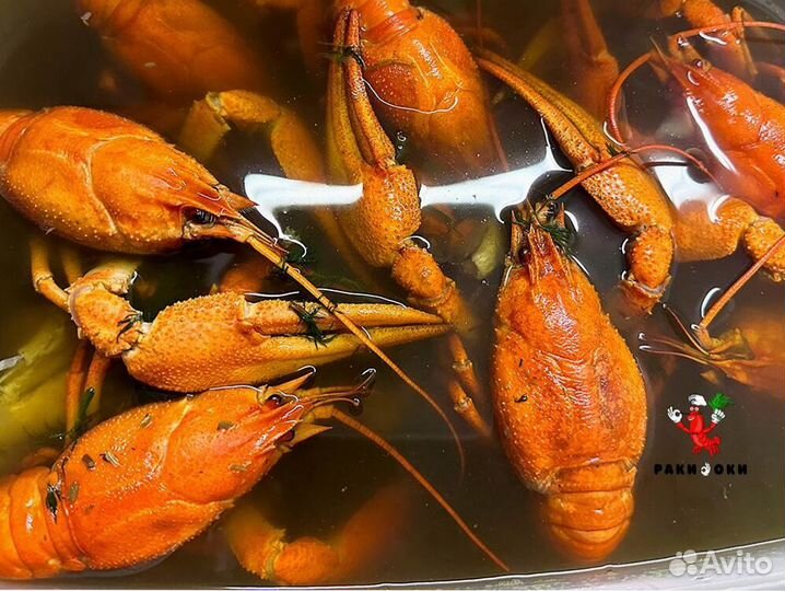 Живые и варёные дикие раки
