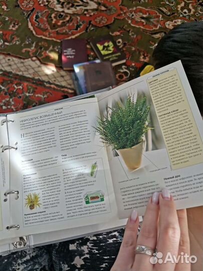 Книги домашние растения