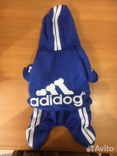 Костюм для собаки