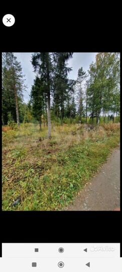 Участок 12,5 сот. (СНТ, ДНП)