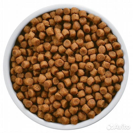 Корм для собак