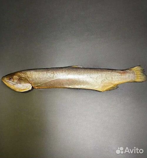 Форель радужная тушка холодного копчения