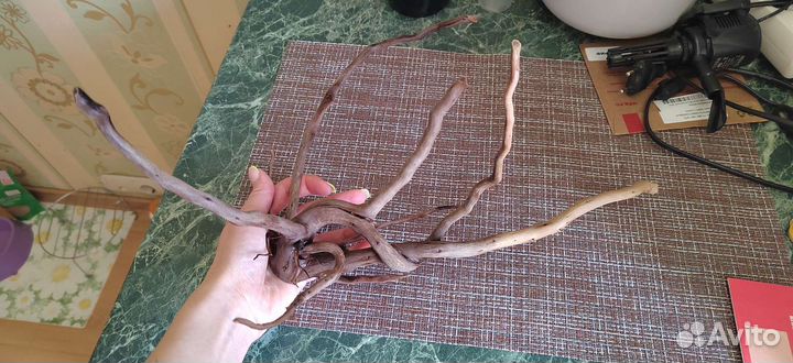 Аквариум Tetra + грунт