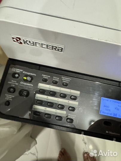 Мфу kyocera ecosys m2040dn