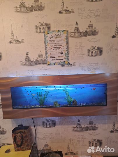 Настенный аквариум