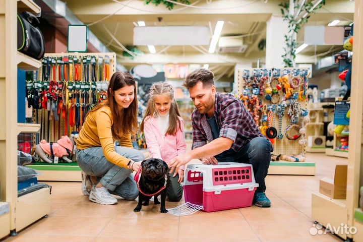 Продаётся прибыльная ветеринарная аптека