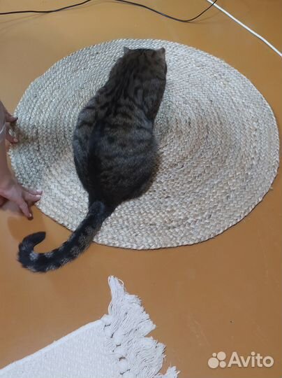 Коврик из берестяной косы