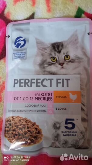 Влажный корм для кошек