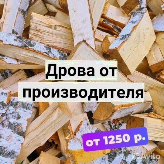 Дрова берёза