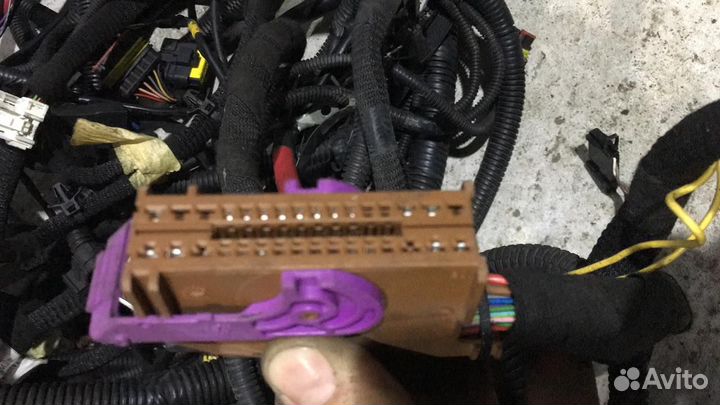 Проводка Ducato 244