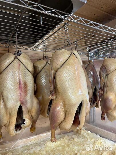 Конская колбаса казылык