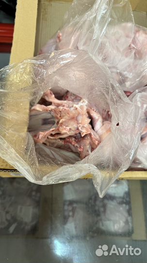 Мясо и кости для собак