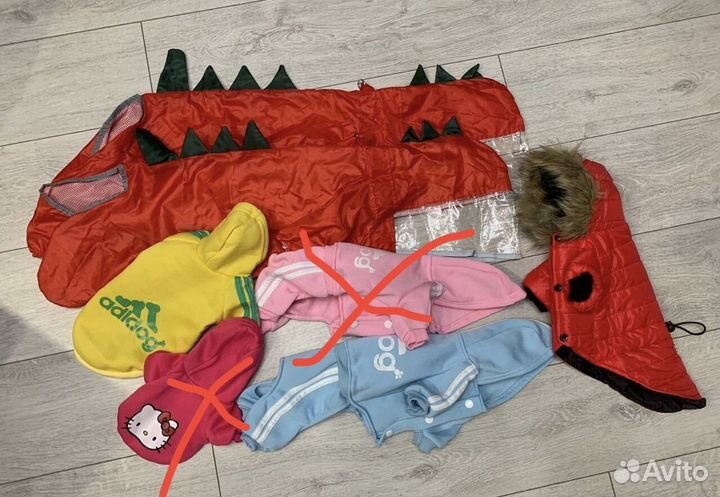 Одежда для собак