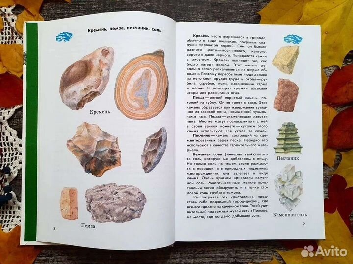 Плешаков. От земли до неба. Атлас-отпределитель