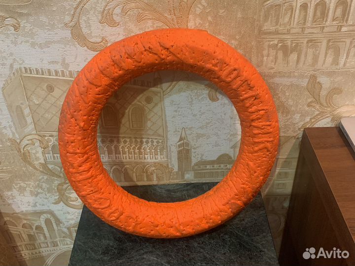 Кольцо для игры и дрессировки собак