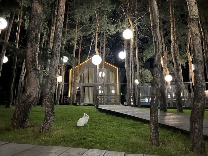 Коттедж 162 м² на участке 35 сот.