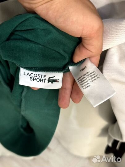 Свитшот Lacoste