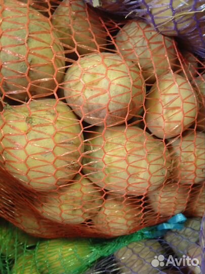 Продам картофель
