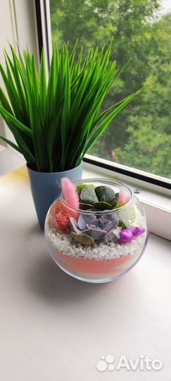 Флорариум подарок