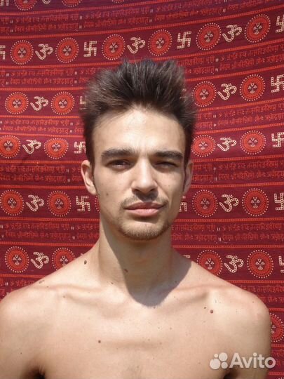 Программист разработчик