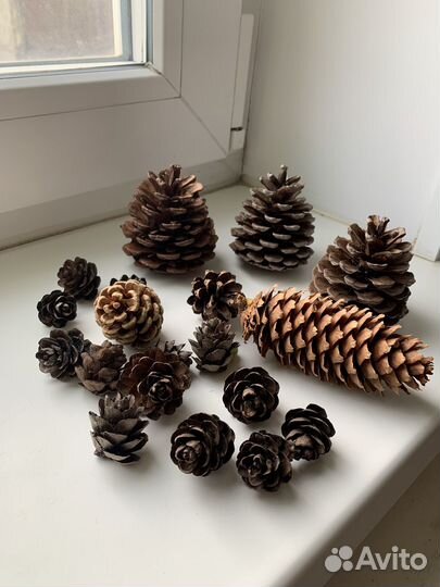 Шишки для поделок
