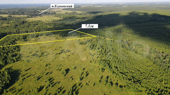 Участок 7,1 га (СНТ, ДНП)