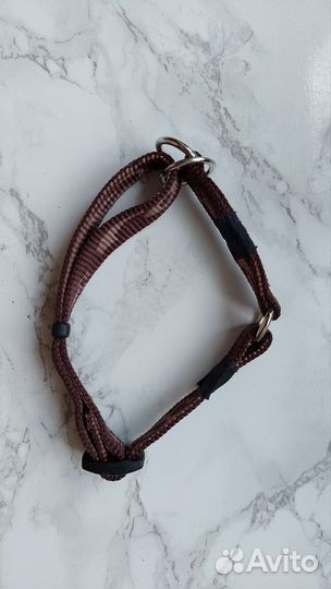 Ошейник полуудавка Rogz для собак