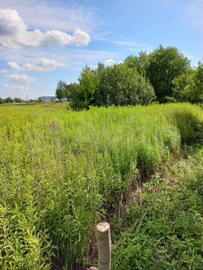 Участок 5,7 сот. (СНТ, ДНП)