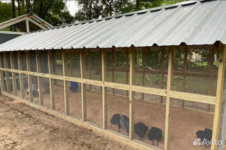 Вольер для собак,кошек, кроликов, курятник, будка