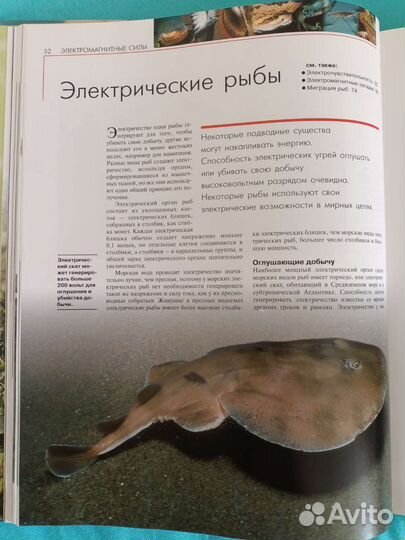 Книга Удивительные способности животных