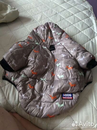 Куртка для собак мелких пород