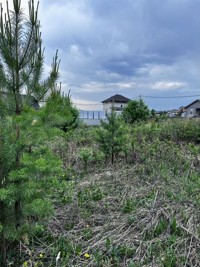 Участок 15,3 сот. (ИЖС)