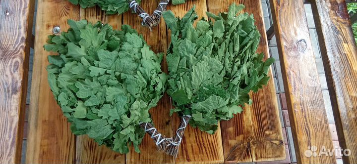 Банные веники