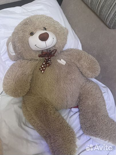 Плюшевый медведь