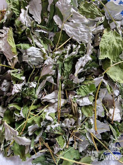 Малина лист 1 кг