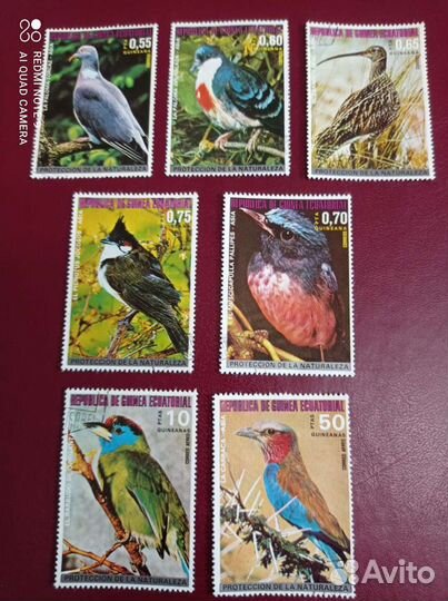 Гвинея. Фауна. Птицы Африки. Серия 7 марок