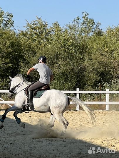 Постой для лошадей