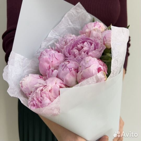 Пионы оптом. Букет пионов из 9 шт Голландия