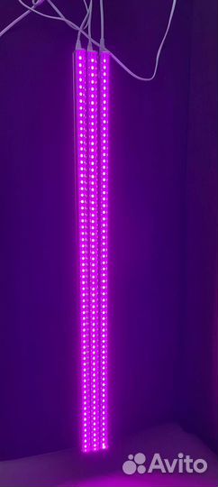 Фитолампы для растений