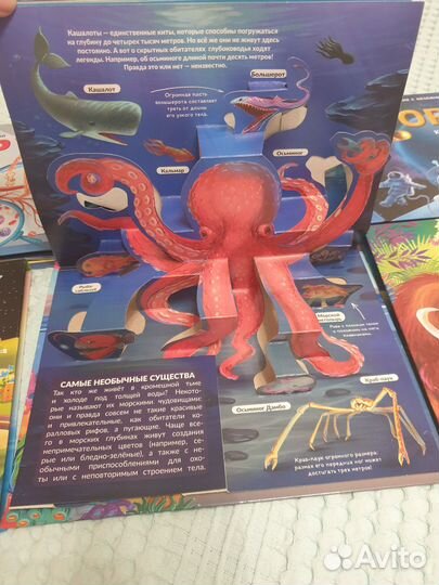 Книги-раскладушки,энциклопедия для детей