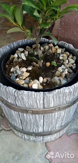 Вазон\кашпо/подставка/урна/ фигура ручной работы