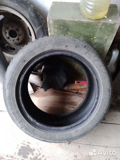 Tigar Sigura Stud 205/55 R16 94