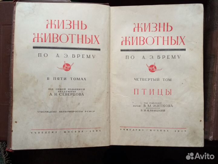 Жизнь Животных Брэм