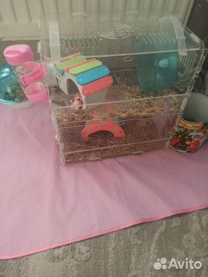 Клетка для грызунов бу