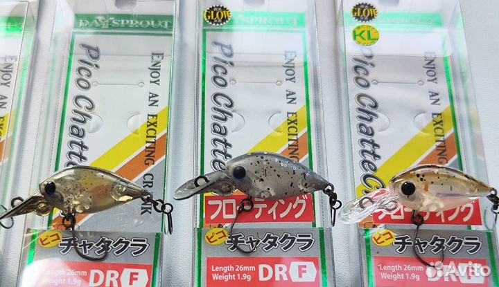 Daysprout Pico ChatteCra DR-F