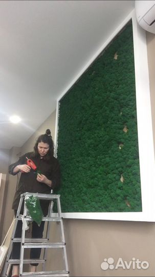 Фитопанно. Фитостена/ стена со мхом