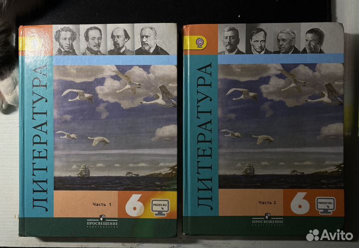 Учебники по литературе 6 класс, 1-2 части